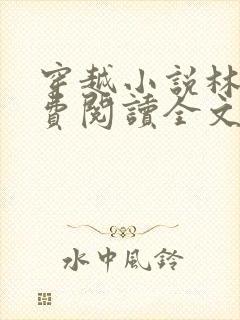 穿越小说林丰免费阅读全文