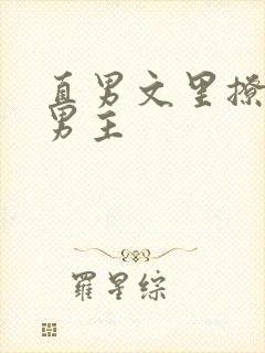 直男文里撩言情男主