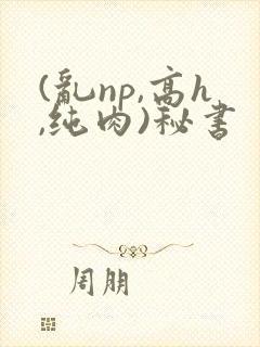 (乱np,高h,纯肉)秘书