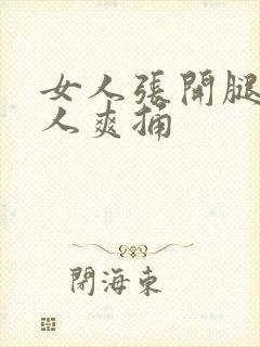 女人张开腿让男人爽捅封面