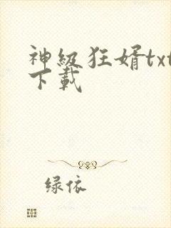 神级狂婿txt下载