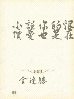 小说你的恨很廉价爱也是在线阅读