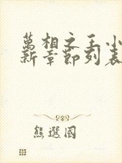 万相之王小说最新章节列表列表封面