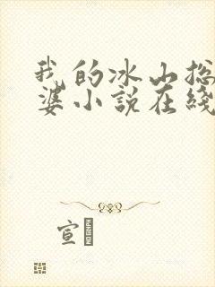 我的冰山总裁老婆小说在线阅读