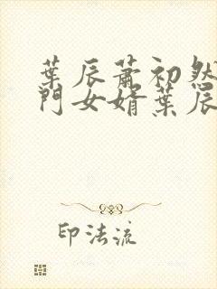 叶辰萧初然 上门女婿叶辰