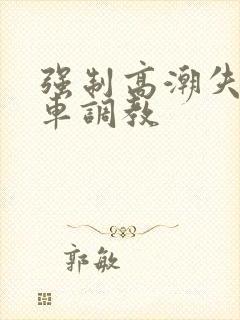 强制高潮失禁肉车调教封面