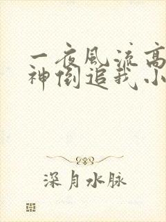 一夜风流高冷女神倒追我小说免费阅读无弹窗