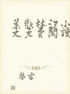 叶欢林汐小说全文免费阅读封面