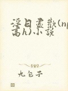 淫日尽欢(np高h)小说