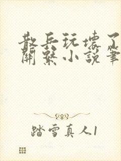 散兵玩坏了也没关系小说笔趣阁