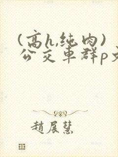 (高h,纯肉)公交车群p文小说