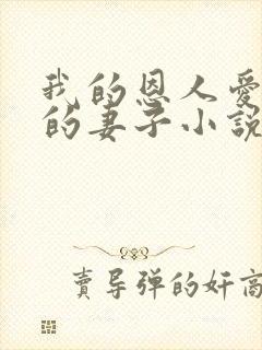 我的恩人爱上我的妻子小说免费阅读封面