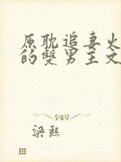 原耽追妻火葬场的双男主文推荐