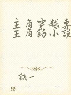 主角穿越专门杀主角的小说