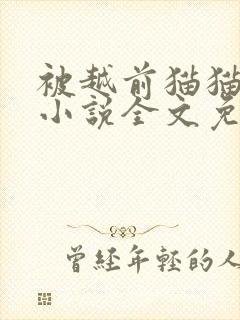 被越前猫猫缠上小说全文免费阅读封面