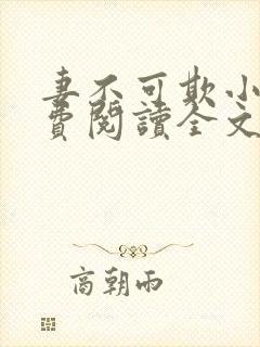 妻不可欺小说免费阅读全文封面