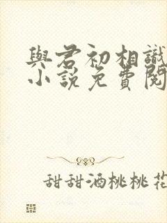 与君初相识原著小说免费阅读