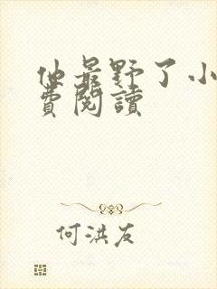 他最野了小说免费阅读