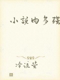 小说肉多强迫