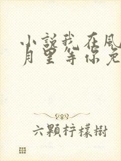 小说我在风花雪月里等你免费阅读