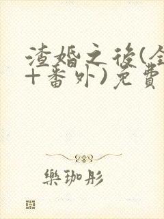 渣婚之后(全文+番外)免费阅读