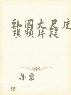 韩国大尺度床戏视频片段