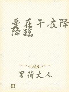 爱在午夜降临前降临