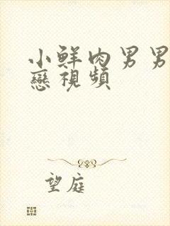 小鲜肉男男同性恋视频