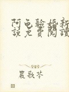 阿龟验婚新娘小说免费阅读无弹窗