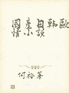 国产日韩欧美激情小说