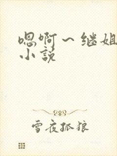 嗯啊～继姐夫h小说封面