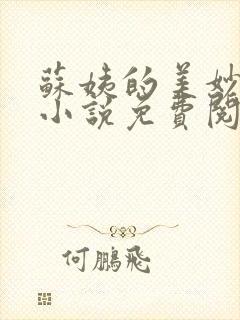 苏姨的美妙人生小说免费阅读