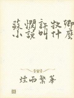 苏悯许牧卿原著小说叫什么