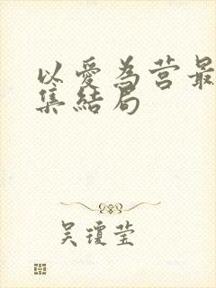以爱为营最后一集结局封面