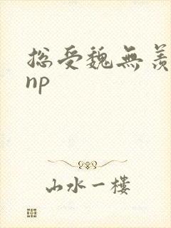 总受魏无羡双性np