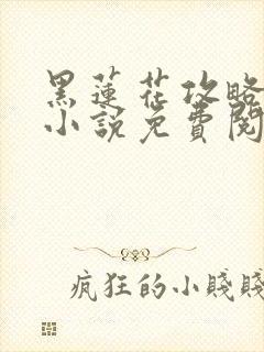 黑莲花攻略手册小说免费阅读无弹窗封面