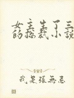 女主生了三胞胎的总裁小说封面