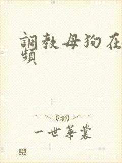 调教母狗在线视频