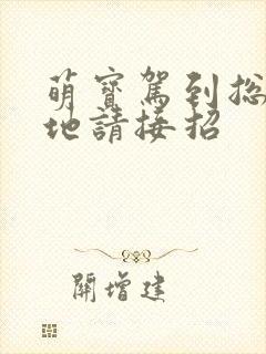 萌宝驾到总裁爹地请接招