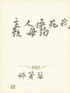 主人操死我 调教 母狗