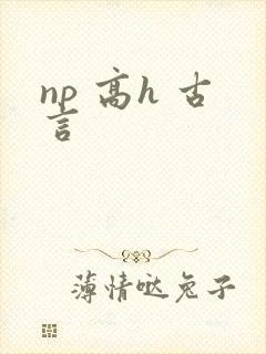 np 高h 古言