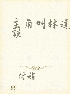 主角叫林道的小说