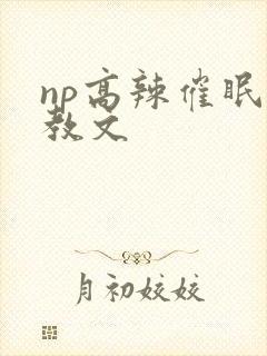 np高辣催眠调教文封面