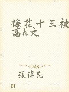 梅花十三被强肉高h文