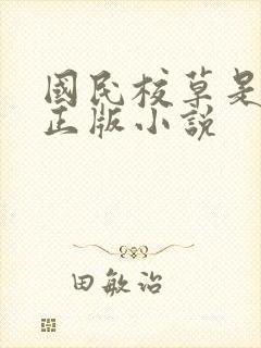 国民校草是女生正版小说