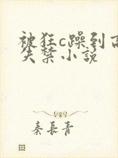 被狂c躁到高潮失禁小说