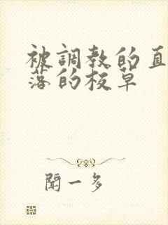 被调教的直男堕落的校草