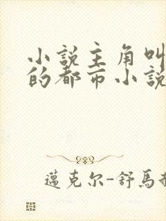 小说主角叫林俊的都市小说