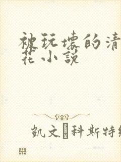 被玩坏的清纯校花小说