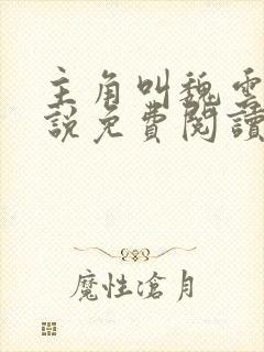 主角叫魏云的小说免费阅读